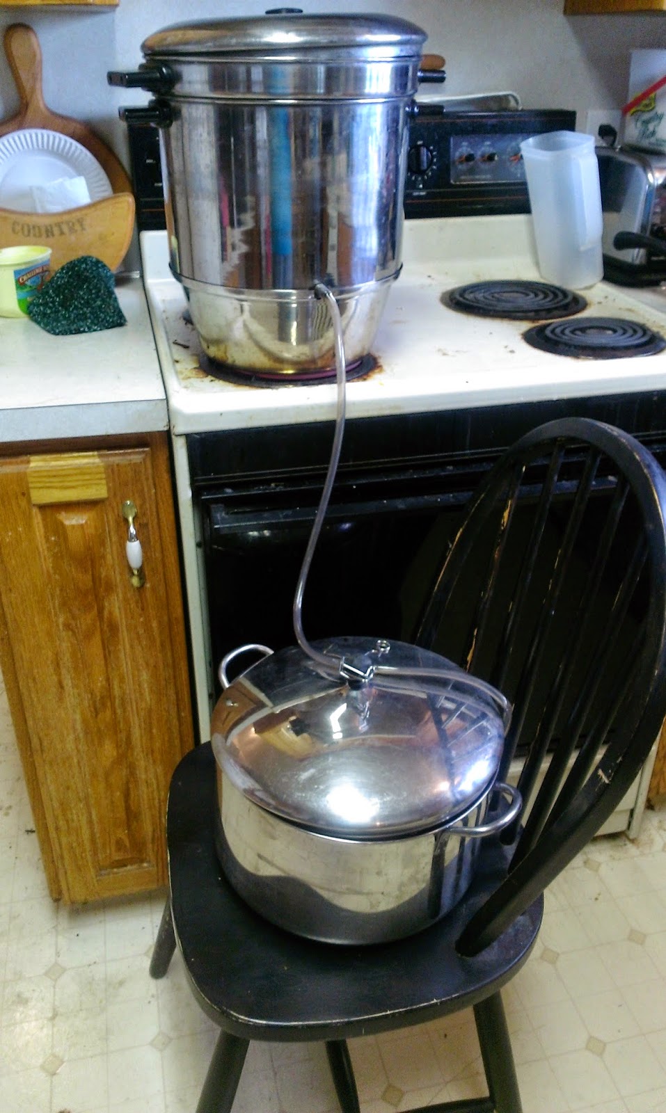 Doing Things Backwards Steam Juicing Plums For The First Time EASY 5 Steps